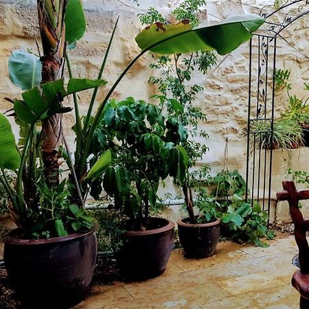 הגן הקסום, הצימר בבאר שבע Hotel Bagian luar foto